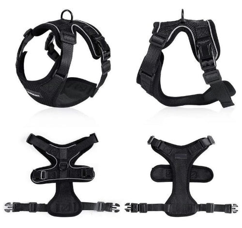 Escape Proof Cat Vest Harness And Car Seat Belt