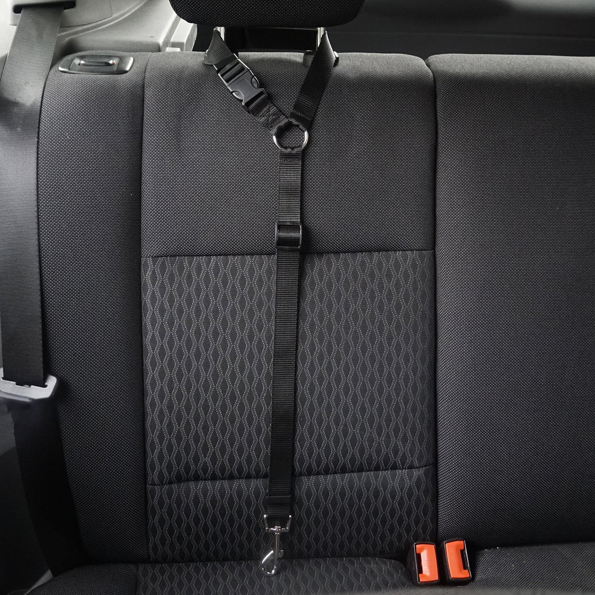 pet safety leash