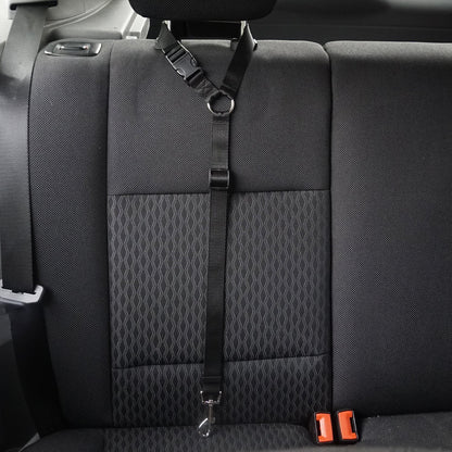 pet safety leash