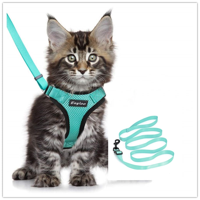 Escape Proof Cat Vest Harness And Car Seat Belt