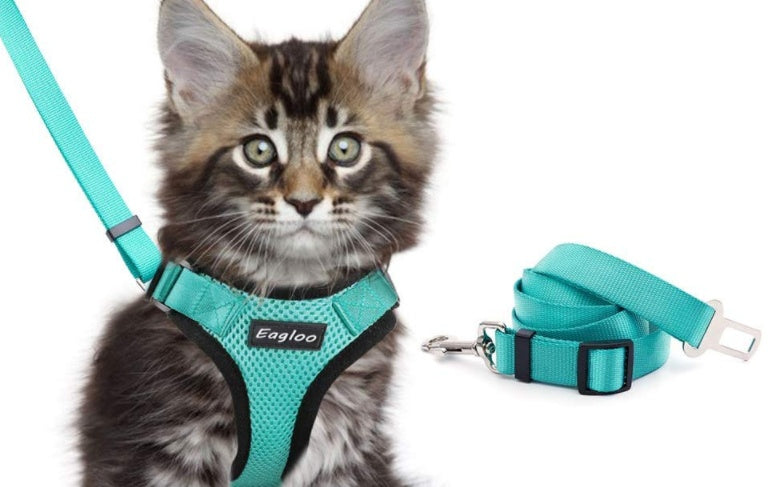Escape Proof Cat Vest Harness And Car Seat Belt