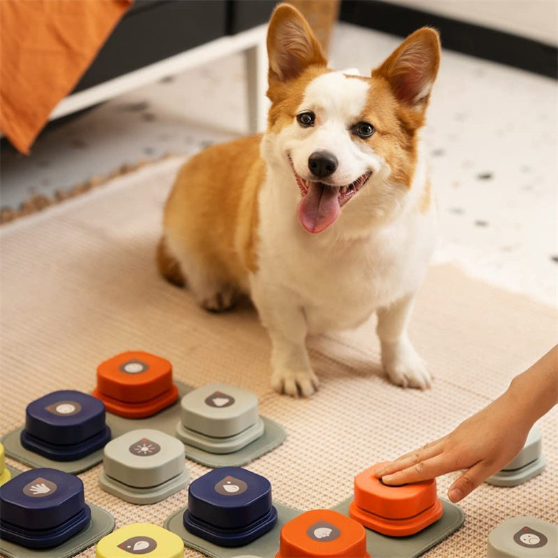 4 Colors Pet Communication Button One-click with a smiling corgi using the buttons on a mat.