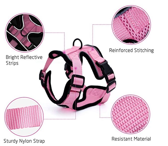 Escape Proof Cat Vest Harness And Car Seat Belt