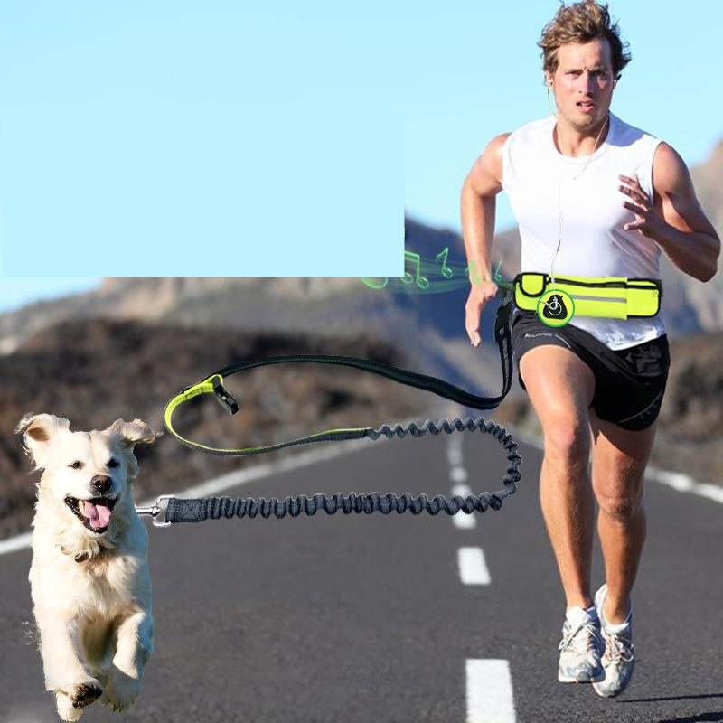 Hands-Free Dog Running Leash with Waist Pocket