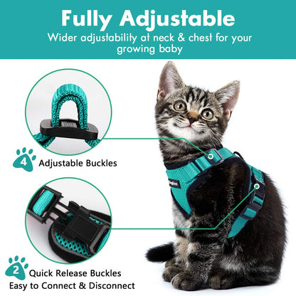 Escape Proof Cat Vest Harness And Car Seat Belt