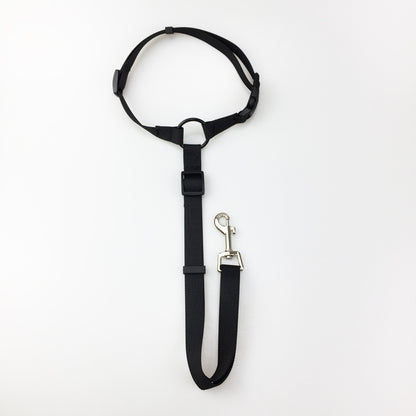 pet safety leash