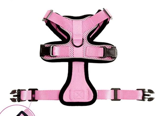 Escape Proof Cat Vest Harness And Car Seat Belt