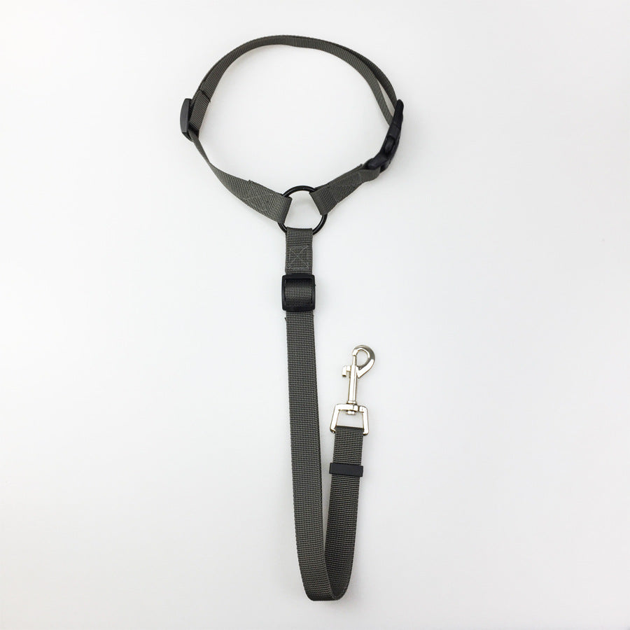 pet safety leash