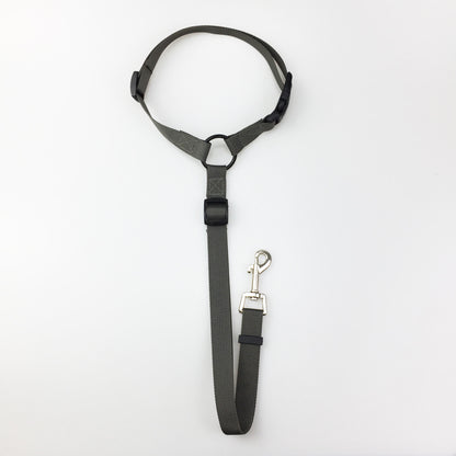 pet safety leash