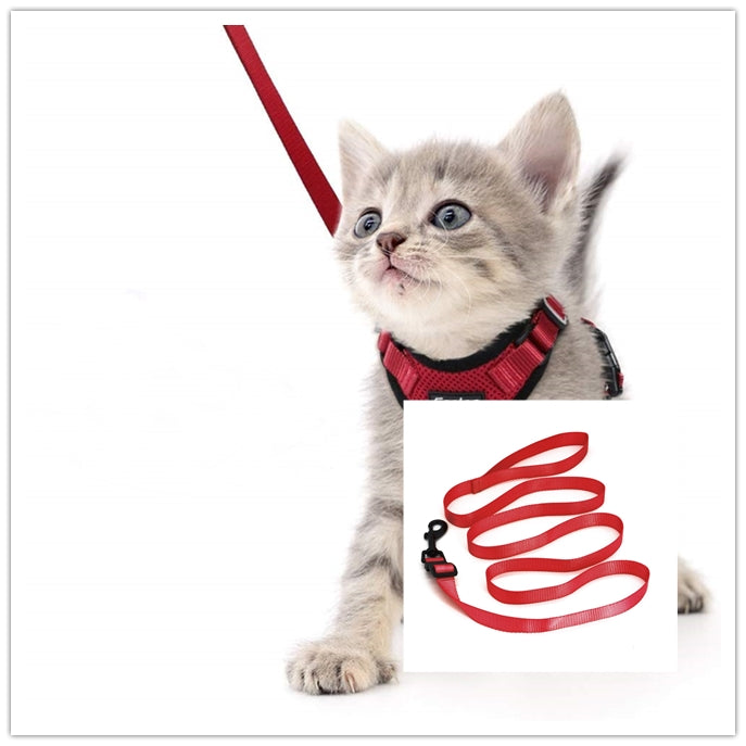 Escape Proof Cat Vest Harness And Car Seat Belt