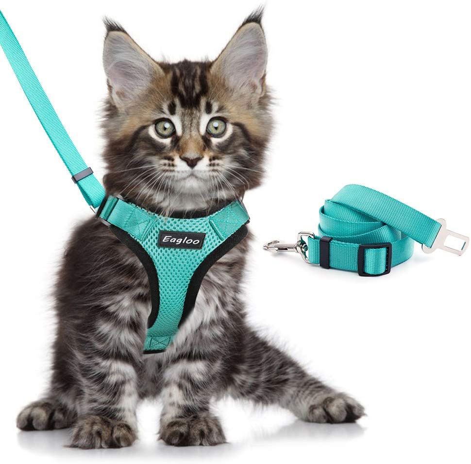 Escape Proof Cat Vest Harness And Car Seat Belt