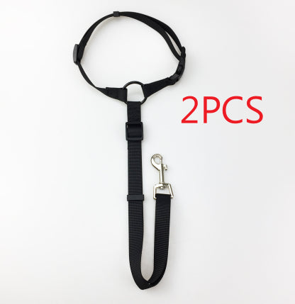 pet safety leash
