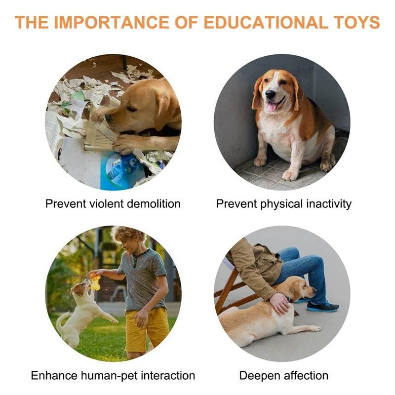 4 Colors Pet Communication Button One-click